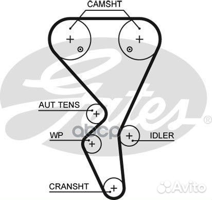 Ремень грм citroen / peugeot 1.6 96- (134x26) 5