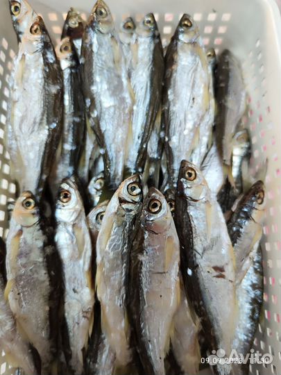 Чебак вяленый