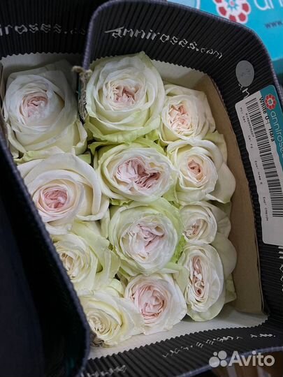 Цветы к Дню учителя 5 октября