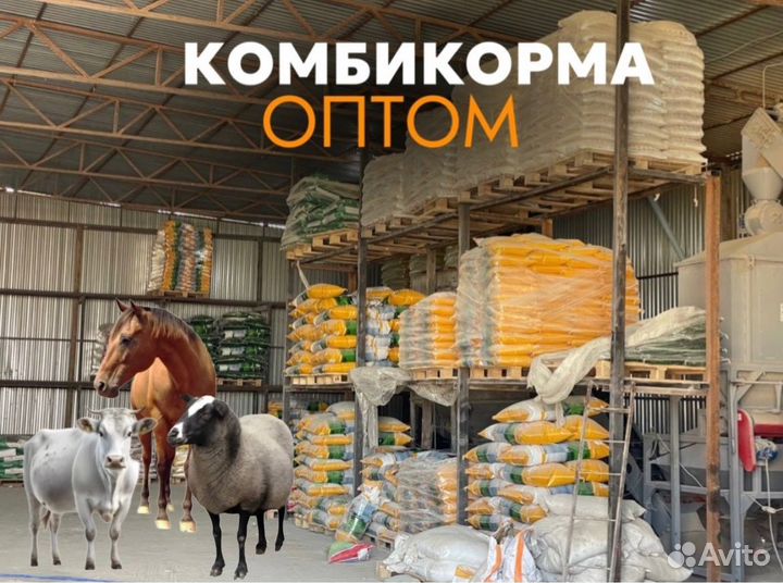 Оптовая продажа комбикорма