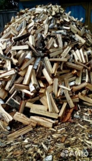 Дрова осина