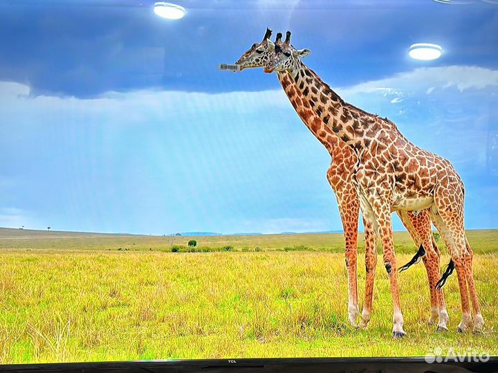 Телевизор SMART tv