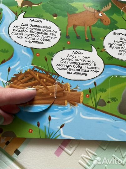 Книжки картонки для малышей