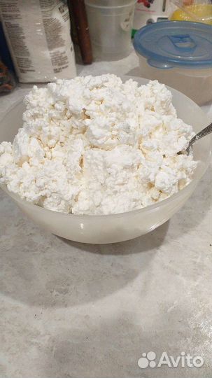 Сыр, масло, молоко