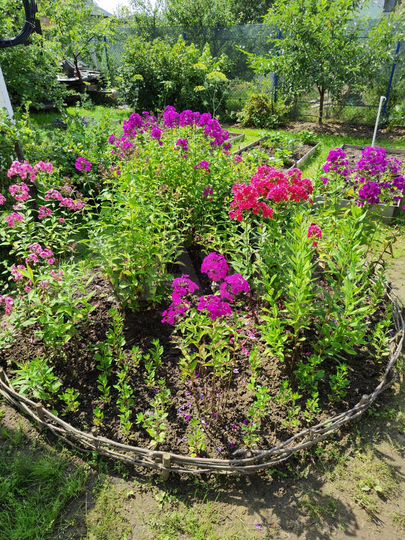 Дача 65 м² на участке 3,1 сот.