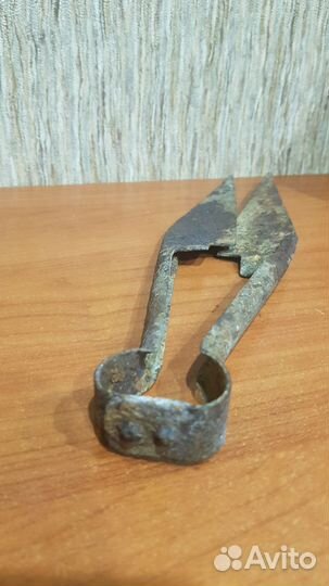 Ножницы для стрижки овец