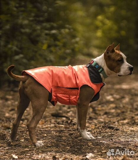 Новая.Куртка-комбинезон для собак.Попона. Двухстор