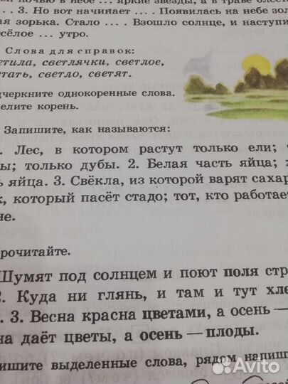 Русский язык 2кл Закожурникова