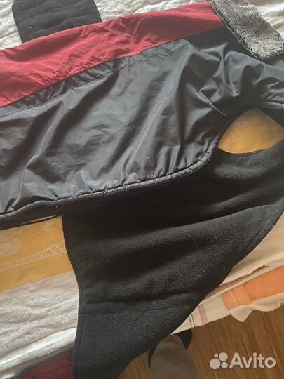 Попона для крупной собаки утеплённая