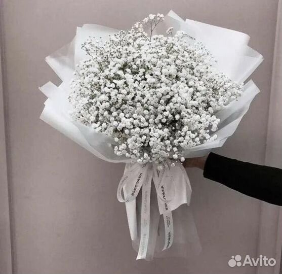 Белая гипсофила