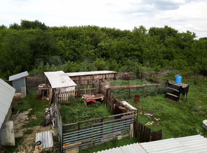 Дом 50 м² на участке 23,5 сот.