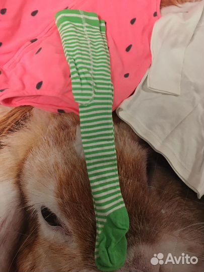 Шикарный костюм Клубнички Carters