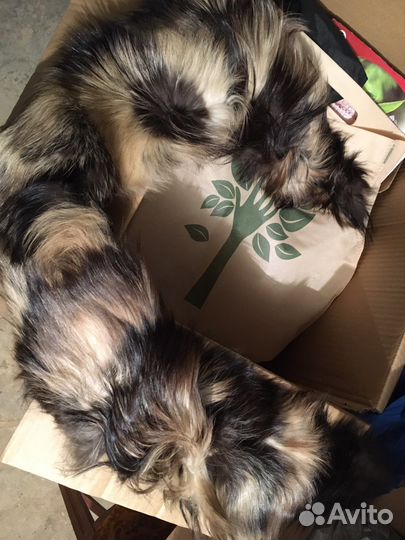 Мех на воротник