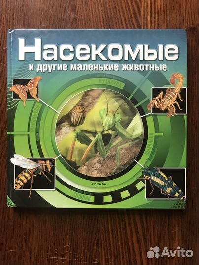 Насекомые и другие маленькие животные