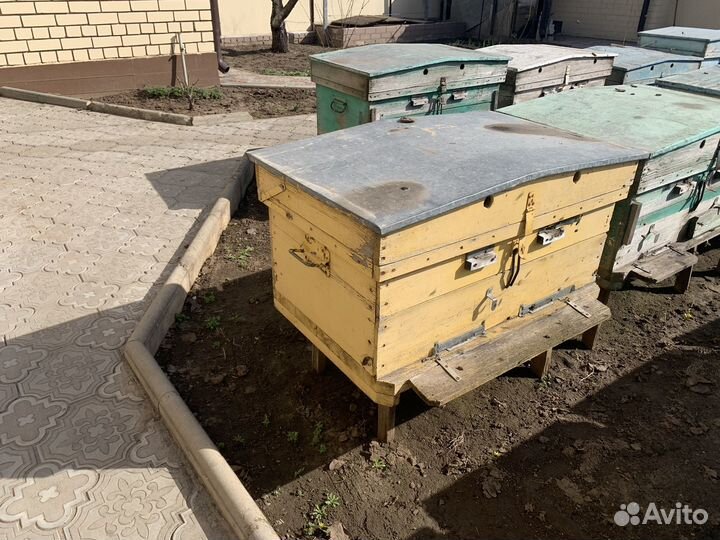 Улей для пчел бу