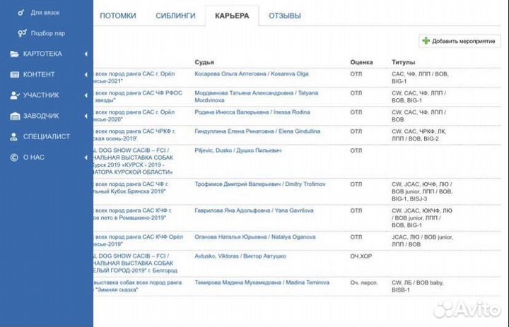 Вязка курцхаар