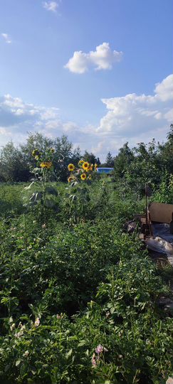 Участок 6 сот. (СНТ, ДНП)