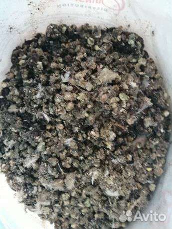 Перепелиный помет