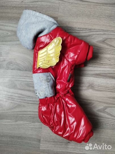 Одежда для собак мелких пород