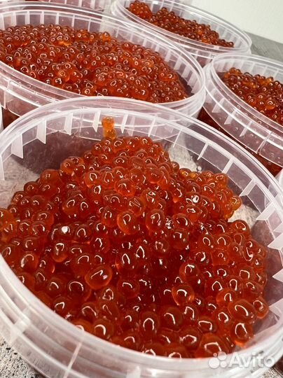 Красная икра, икра кижуча, камчатская 2022