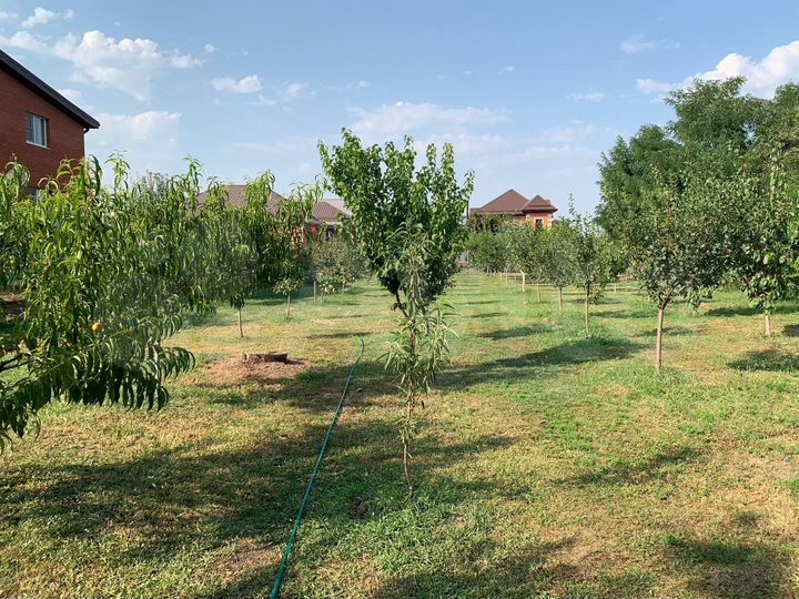 Участок 23,5 сот. (ИЖС)