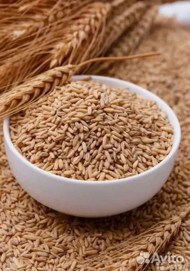 Зерно пшеница ячмень овёс,солома