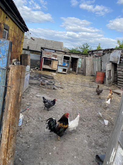 Дом 70 м² на участке 30 сот.