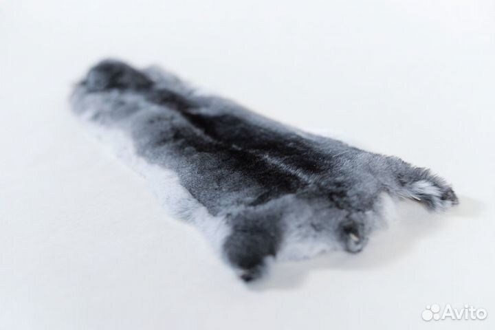 Шкурка шиншиллы 