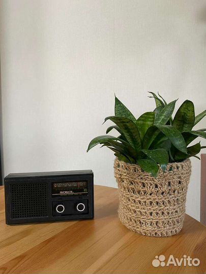 Радиоприемник Сокол