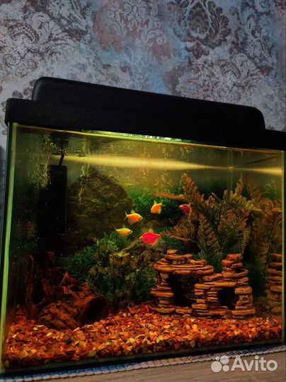 Аквариум 30л