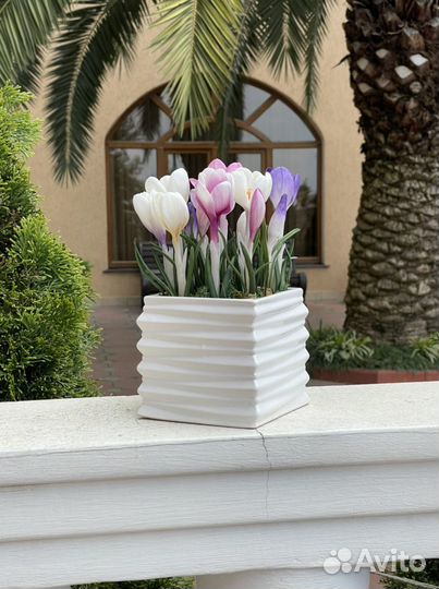 Крокус из глины, подарок, Цветы, ручная работа