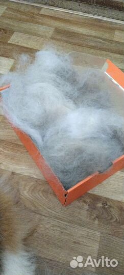 Шерсть собачья Колли 250 г