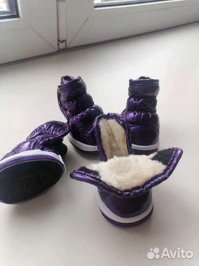 Ботиночки для собаки