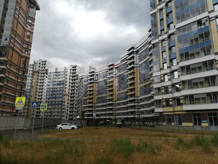 138 м2 на 1 линии Коломяжского