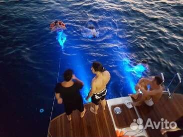 Аренда яхты /катера
