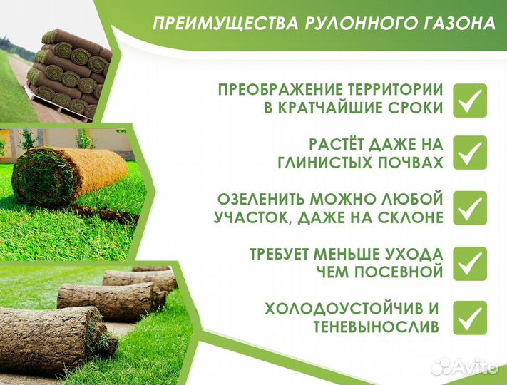 Рулонный газон
