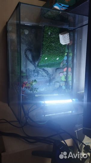 Аквариум со всем содержимым