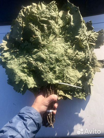 Дубувые веники, березовые