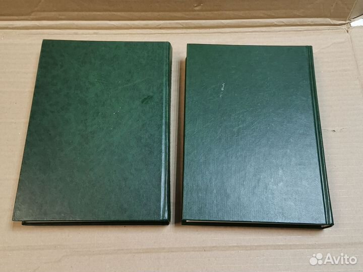 Большой англо русский медицинский словарь