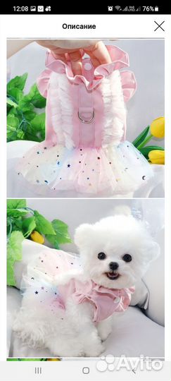 Одежда для маленьких собак