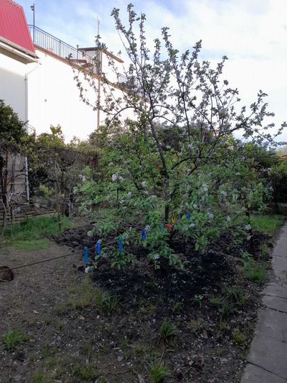 Участок 5 сот. (ИЖС)