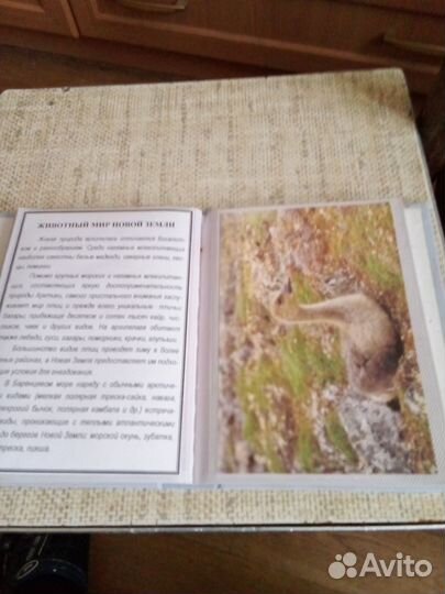 Фотоальбом