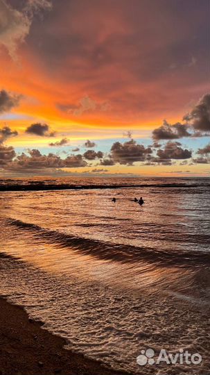 Шри-Ланка из Москвы