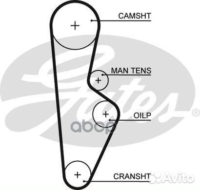 5082XS 58108x24 Ремень грм 5082XS Gates