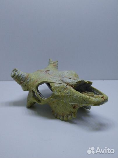 Стильное оформление аквариума - Аквасалон Дискус