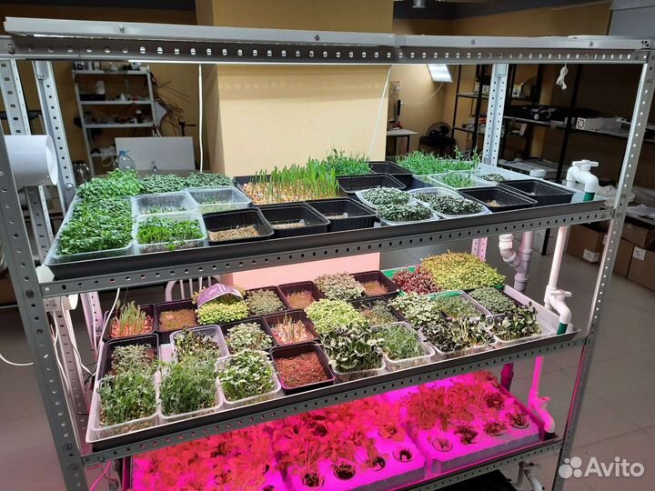 Домашняя мини-ферма для выращивания