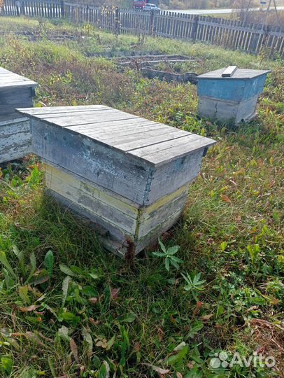 Ульи для пчел