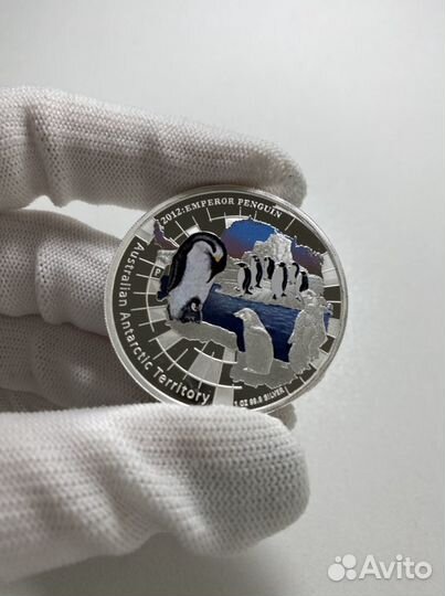 Монеты Австралии Брисбен, Пингвин, Год Свиньи