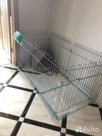 Вольер для собак