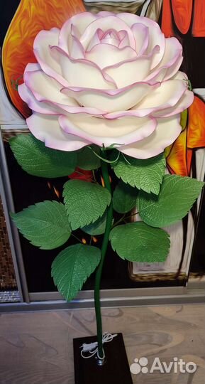 Роза светильник. Ростовые цветы